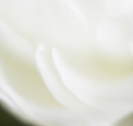 ラシンシア IN/OUT（インアウト）コンセプトイメージ画像