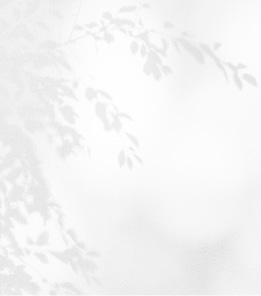 ラシンシア IN/OUT（インアウト）コンセプトイメージ画像