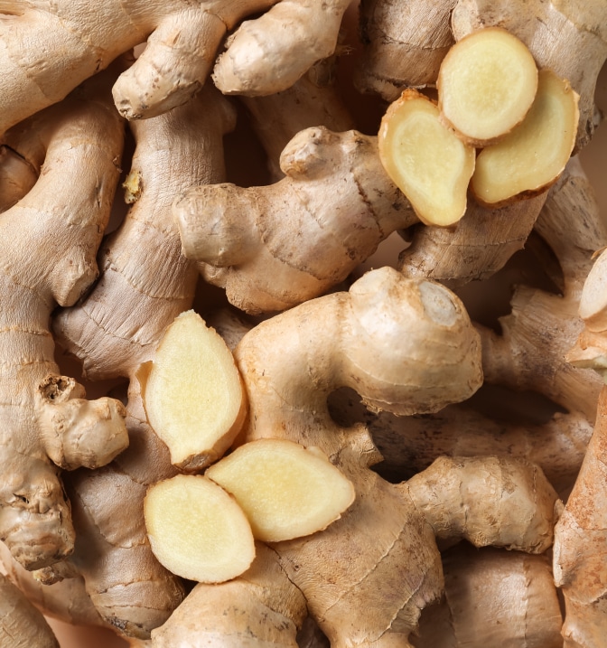 ジンジャーイメージ画像