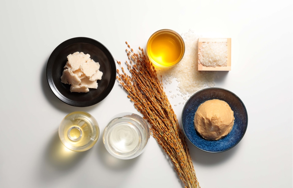 コメ発酵液 SHONAI BIJINイメージ画像