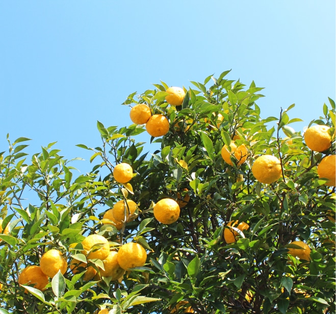 海洋深層水イメージ画像