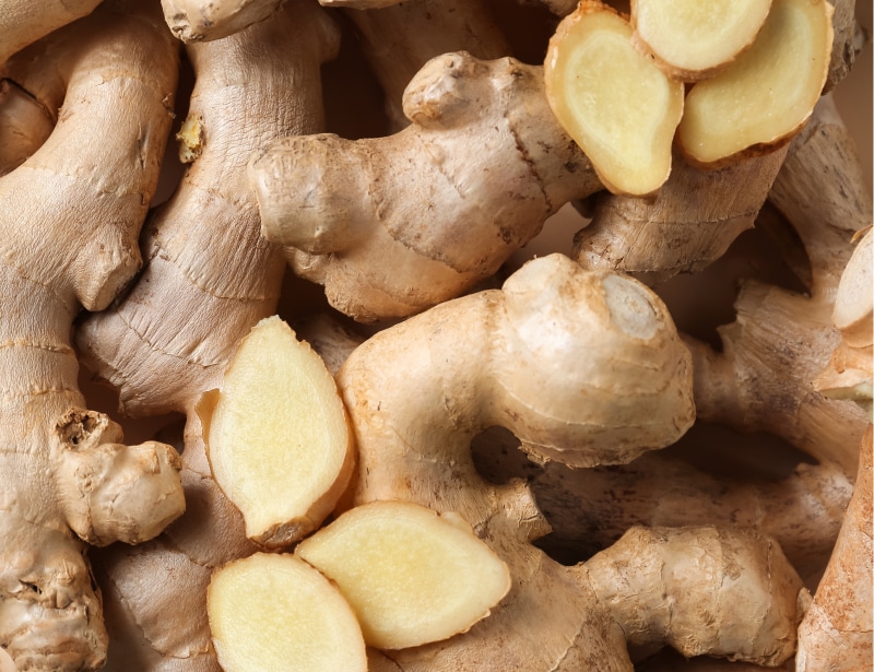 ジンジャーイメージ画像