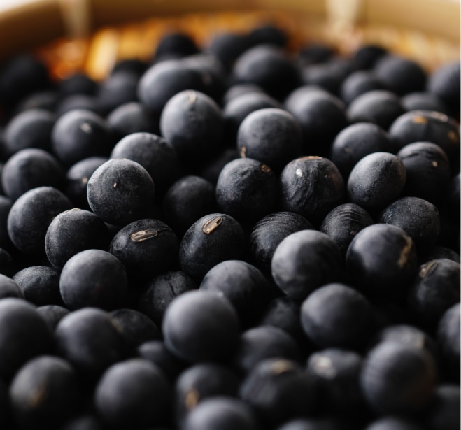 黒豆イメージ画像