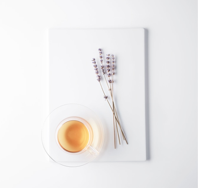 ラシンシア IN/OUT（インアウト） IN商品画像